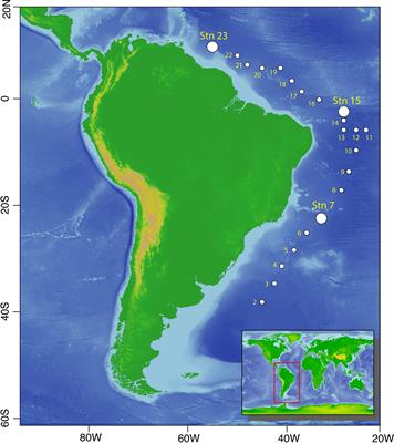 Pathway-Centric Analysis of Microbial Metabolic Potential and Expression Along Nutrient and Energy Gradients in the Western Atlantic Ocean